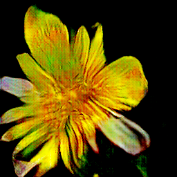 Original flowers generated by VAE and GAN